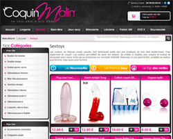 Page d'accueil de Coquin Malin