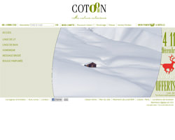 Page d'accueil de Cotoon