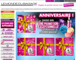 Page d'accueil de Le monde du bagage