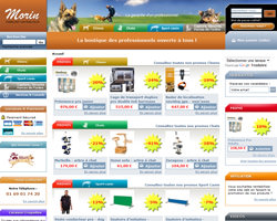 Page d'accueil de Les guides malins
