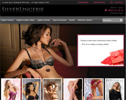 Page d'accueil de Silver Lingerie